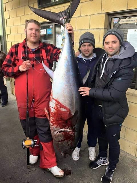 ANGLER: Damien Byrne SPECIES: Southern Bluefin Tuna WEIGHT: 85kgs LURE: JB Lures Micro Dingo.